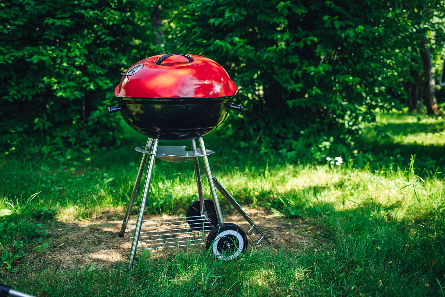 Draußen Grillen in Leverkusen - ein Grill steht auf einer Wiese im Park