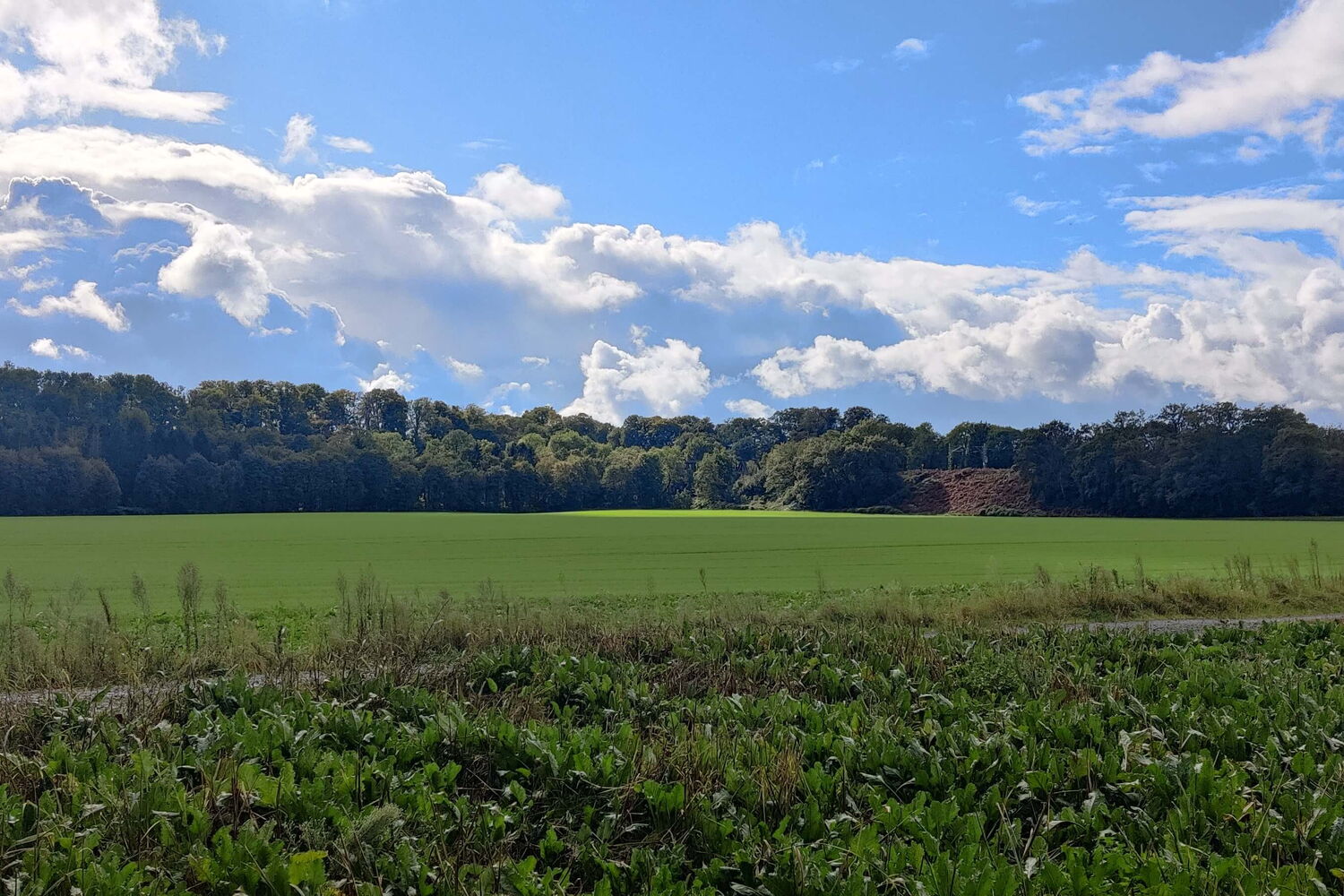 Blick über spätsommerliche Felder