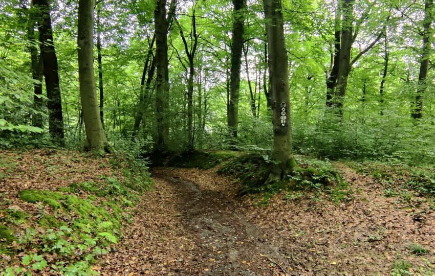 Eindrücke und Aussichten auf dem Landrat Lucas Wanderweg