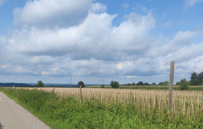 Eindrücke und Aussichten auf dem Landrat Lucas Wanderweg