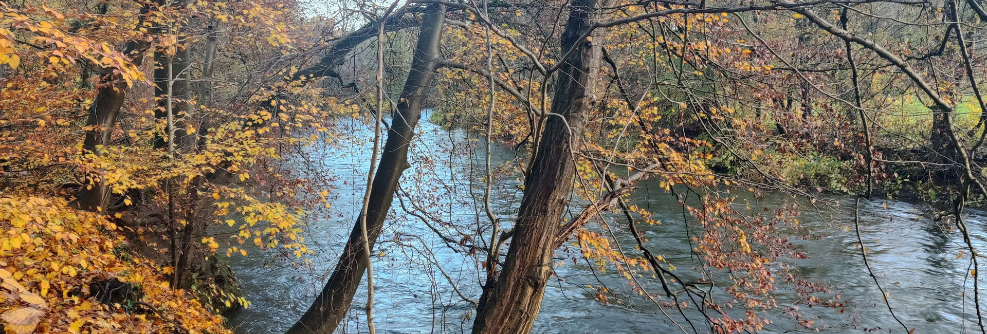 Wupper Opladen Leverkusen Herbst 2023