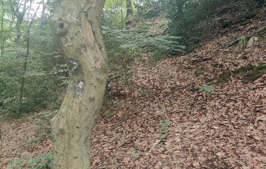 Eindrücke und Aussichten auf dem Landrat Lucas Wanderweg