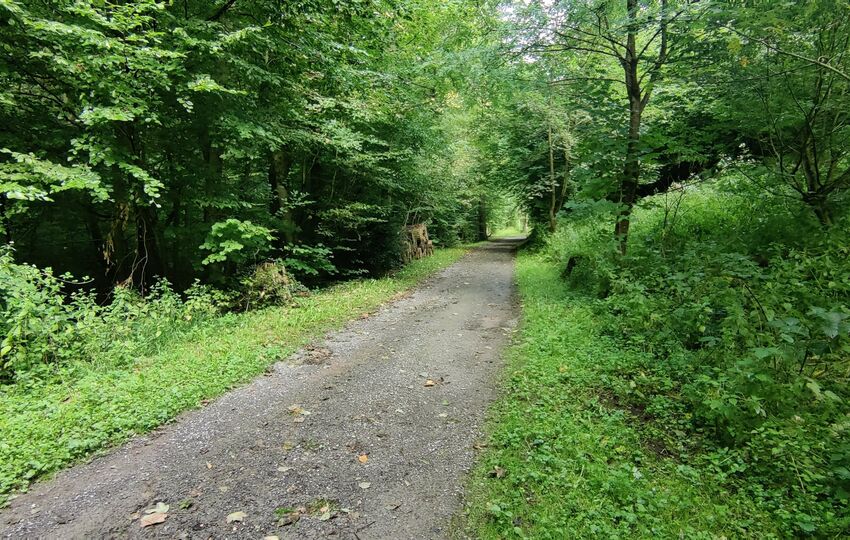 Eindrücke und Aussichten auf dem Landrat Lucas Wanderweg