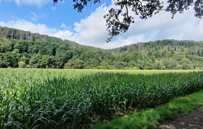 Eindrücke und Aussichten auf dem Landrat Lucas Wanderweg