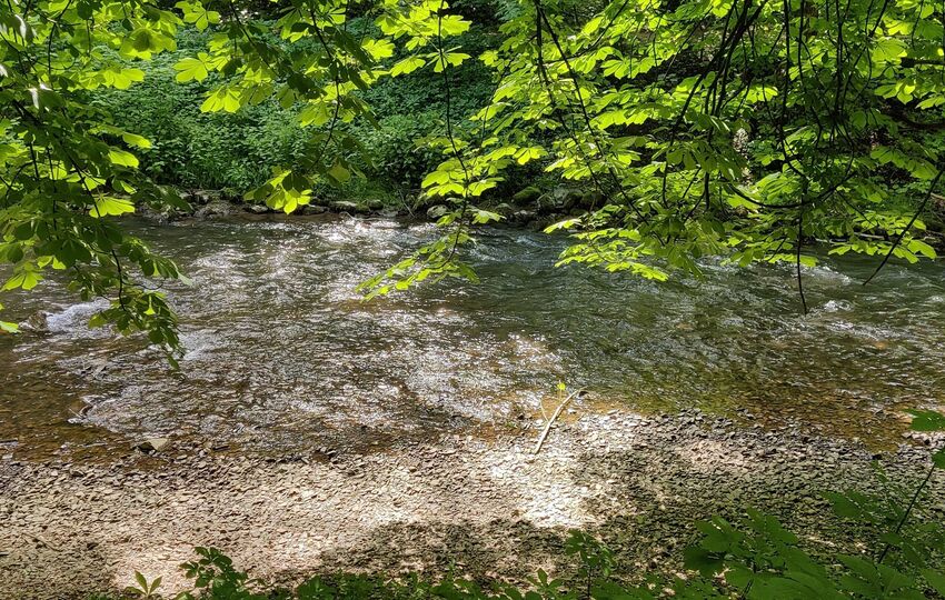 Schlosspark Morsbroich