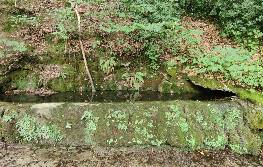 Eindrücke und Aussichten auf dem Landrat Lucas Wanderweg