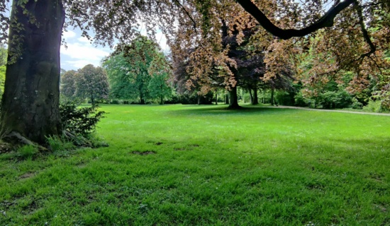 Schlosspark Morsbroich