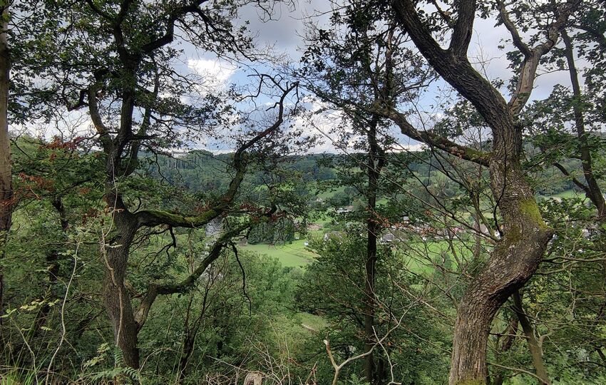 Eindrücke und Aussichten auf dem Landrat Lucas Wanderweg