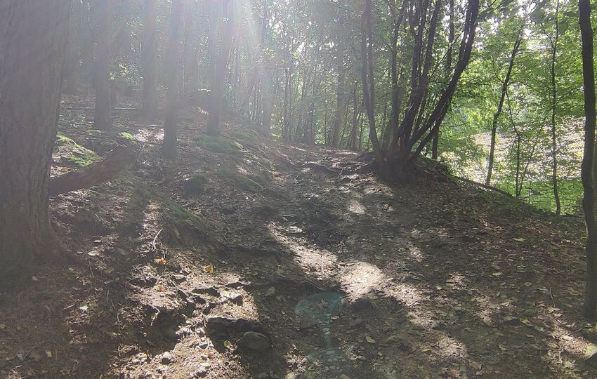 Eindrücke und Aussichten auf dem Landrat Lucas Wanderweg