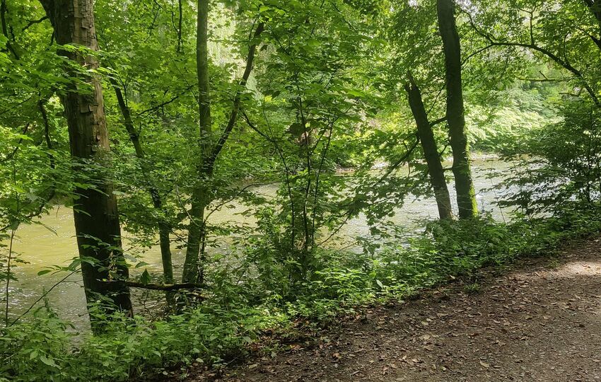 Eindrücke und Aussichten auf dem Landrat Lucas Wanderweg