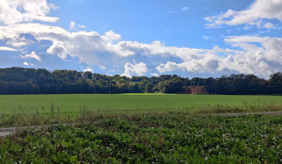 Blick über spätsommerliche Felder