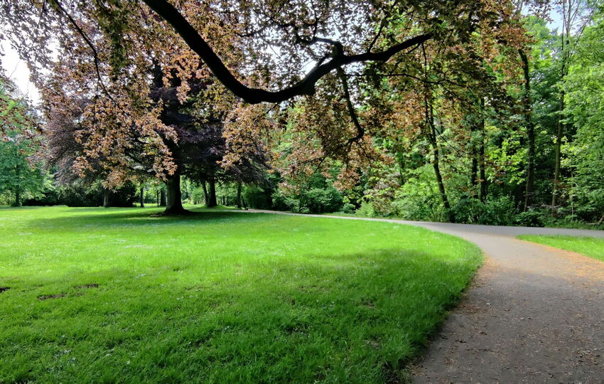 Schlosspark Morsbroich