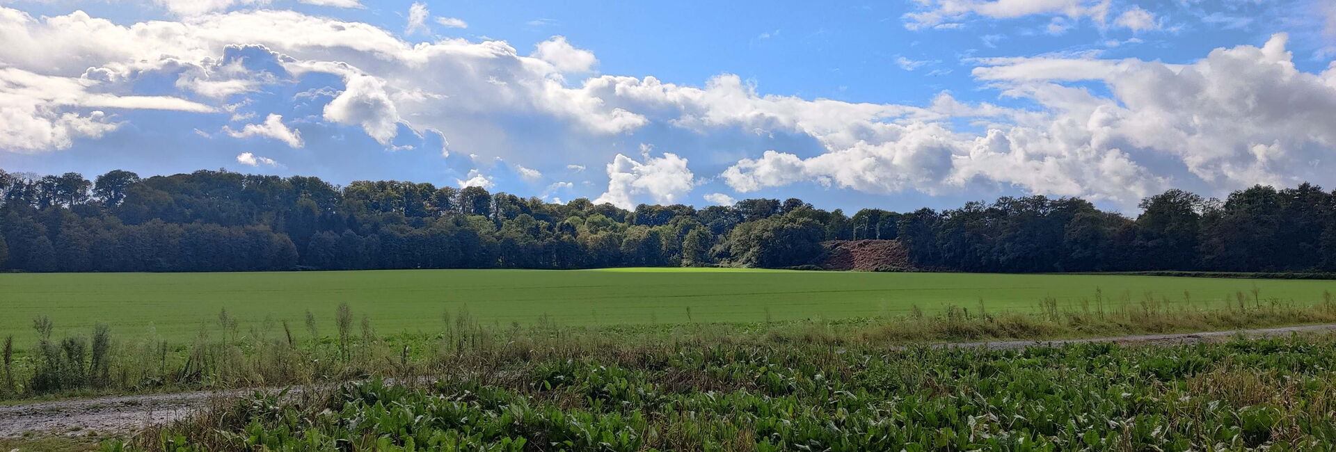 Blick über spätsommerliche Felder