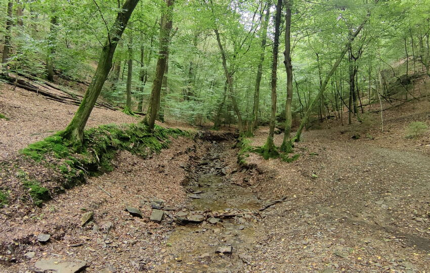 Eindrücke und Aussichten auf dem Landrat Lucas Wanderweg