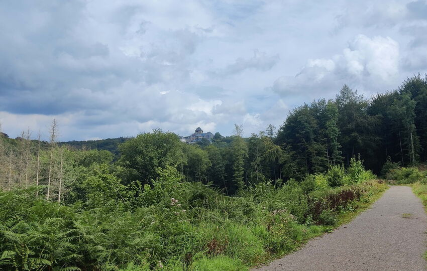 Eindrücke und Aussichten auf dem Landrat Lucas Wanderweg