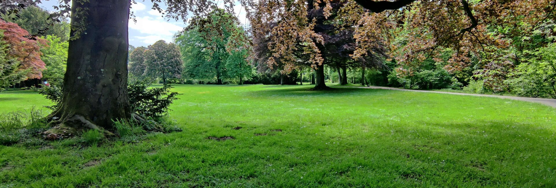 Schlosspark Morsbroich