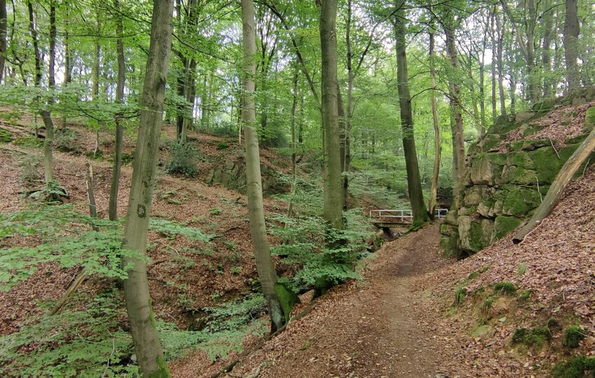 Eindrücke und Aussichten auf dem Landrat Lucas Wanderweg