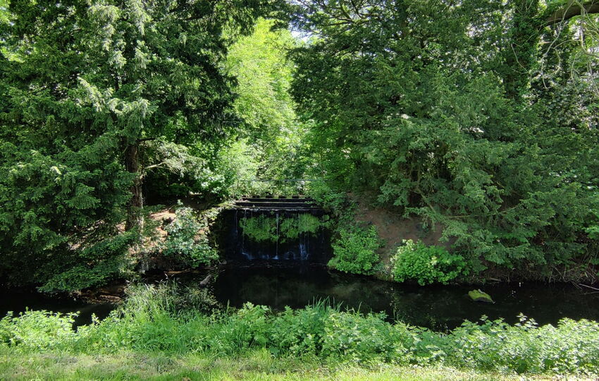 Schlosspark Morsbroich