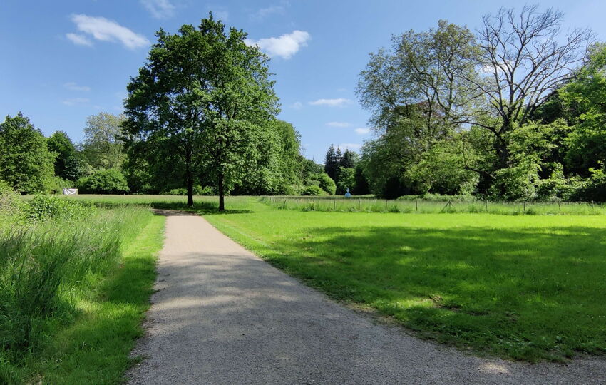 Schlosspark Morsbroich